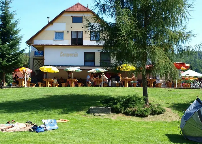 Kormoran Zlenice