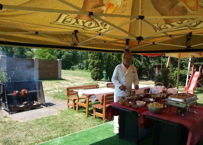 Hotel Kormoran Zlenice